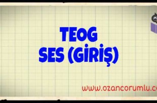 TEOG Ses (Giriş)