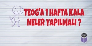 TEOGa-1-Hafta-Kala-Neler-Yapilmali
