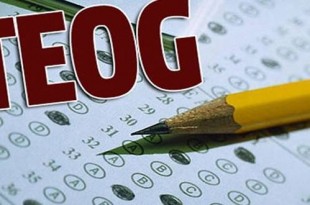 Nusaybin'de TEOG Sınavı Ertelendi