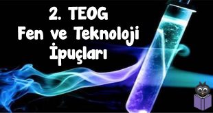 2.-TEOG-Fen-ve-Teknoloji-İpuçları
