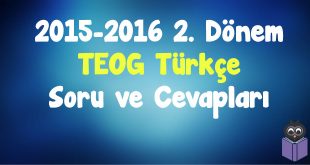 2015-2016-2.-Dönem-TEOG-Türkçe-Soru-ve-Cevapları